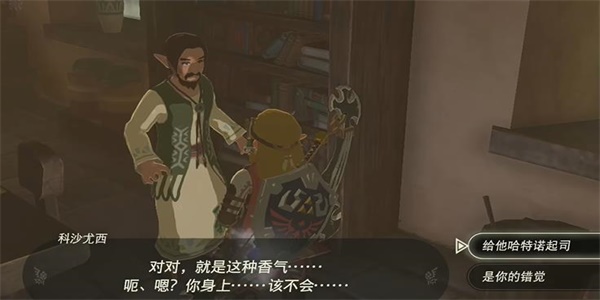 塞尔达传说王国之泪用新名产振兴村子情节挑战完成攻略