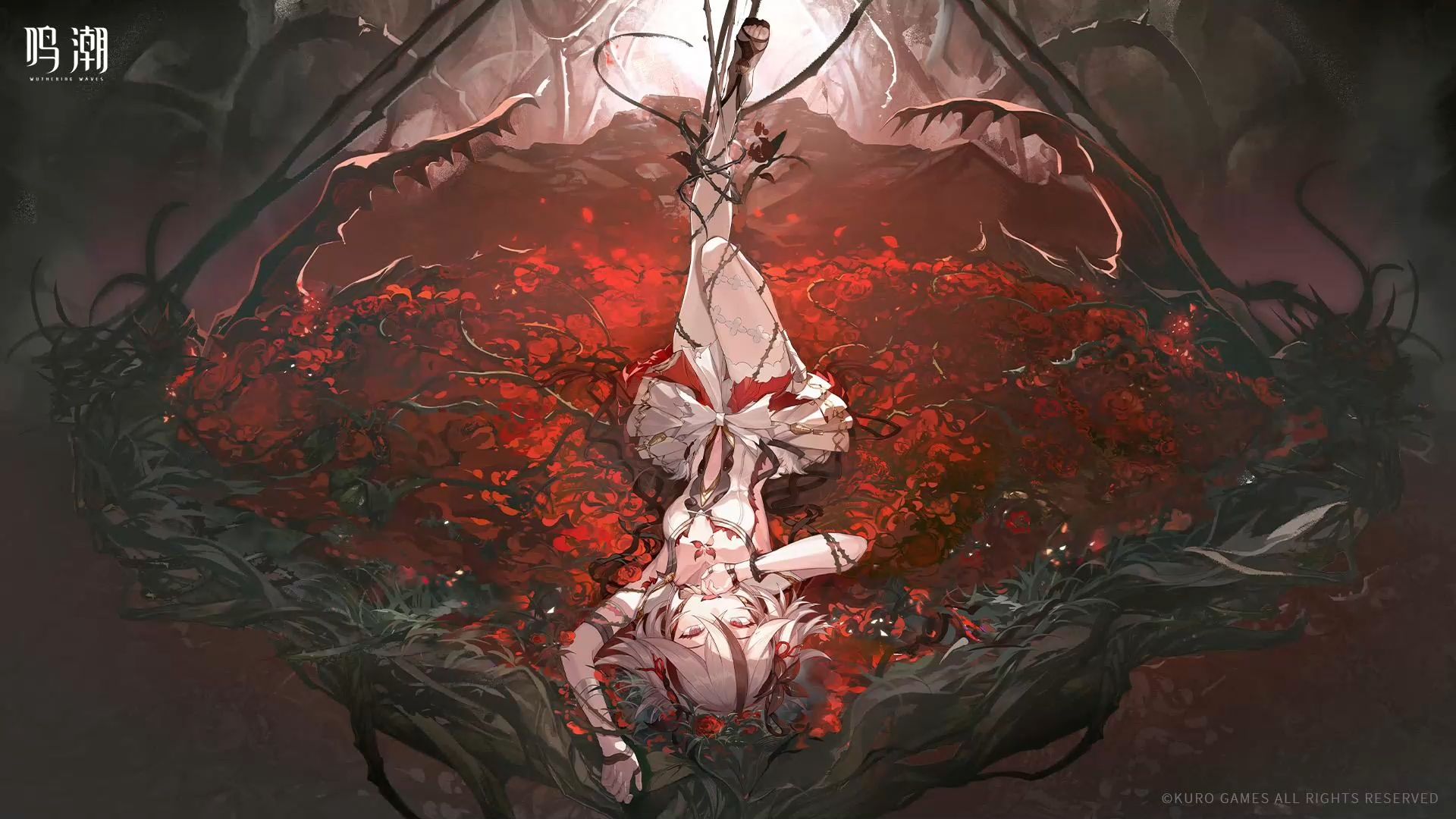 鸣潮椿的技能循环怎么打