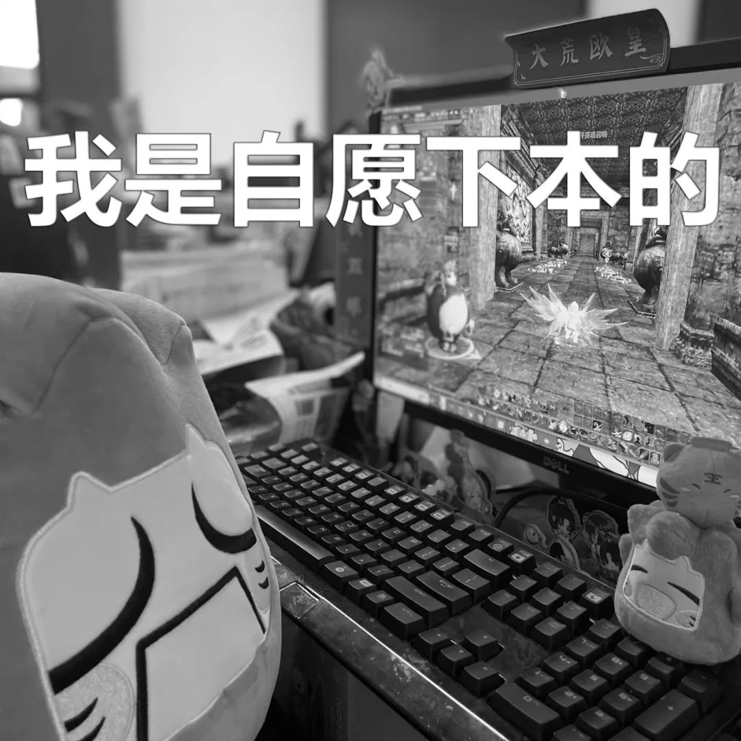 《天下3》草精一族跑路了，为大荒少侠提供全方位上门服务