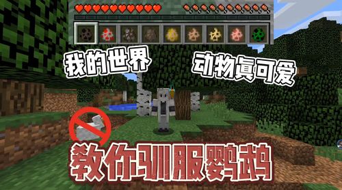 我的世界豹猫怎么驯服不了手机