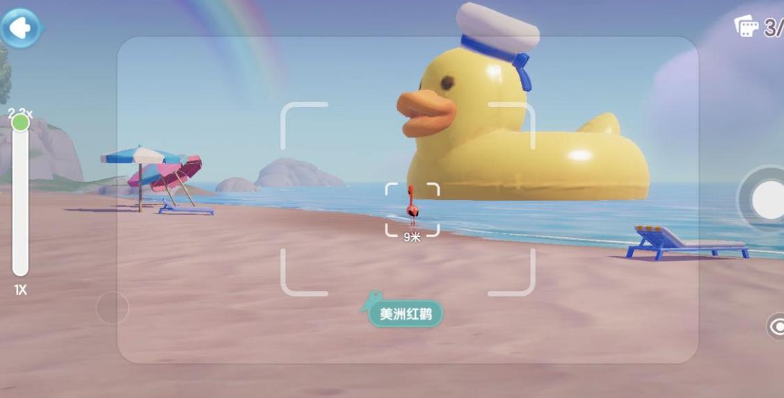 心动小镇观鸟爱好怎么解锁