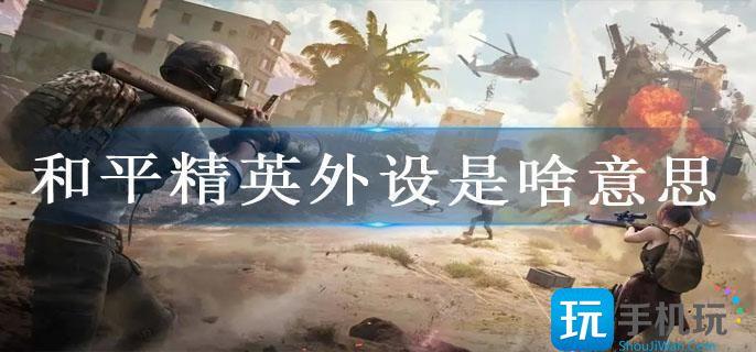 和平精英外设是什么意思-和平精英外设详情介绍
