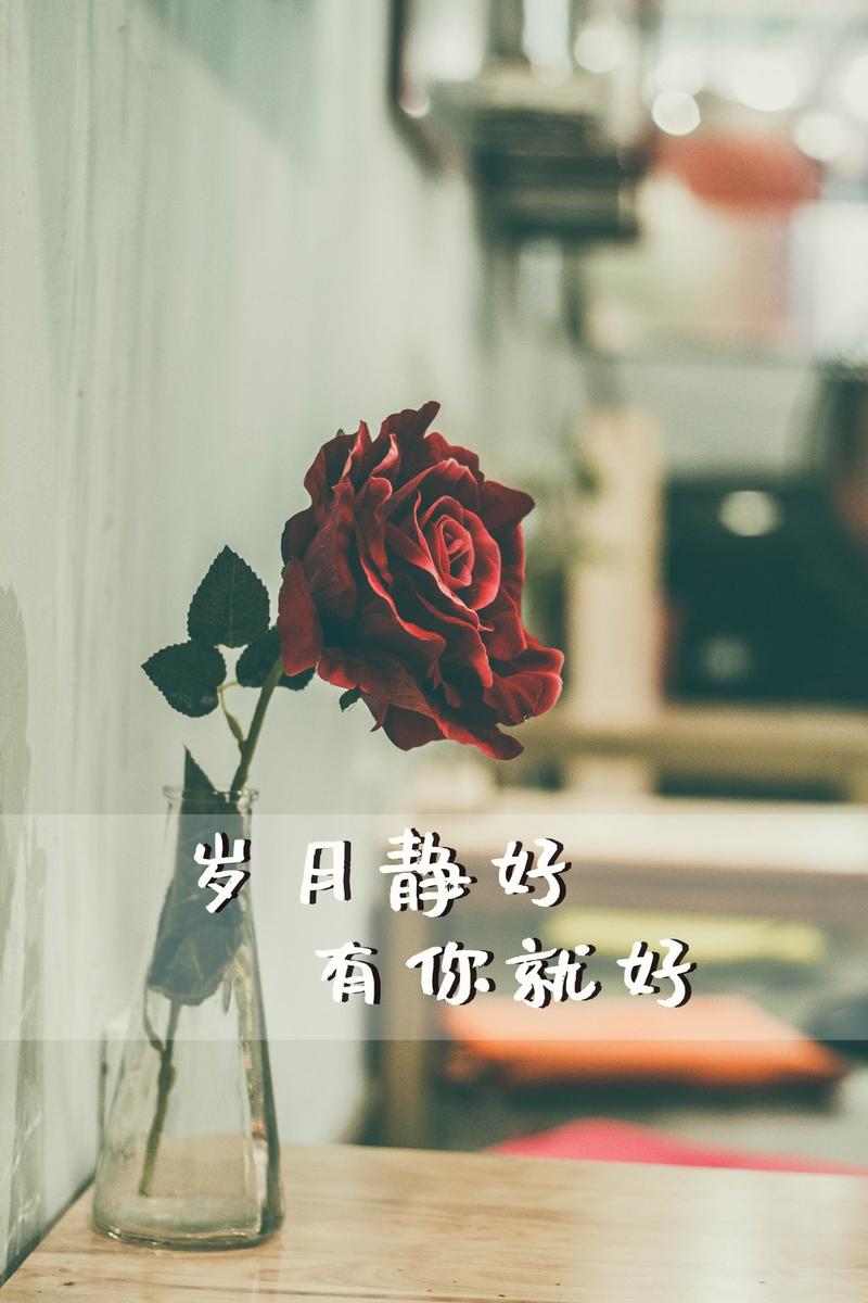 岁月静好一切安好什么意思