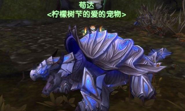 tbc10级猎人宝宝推荐