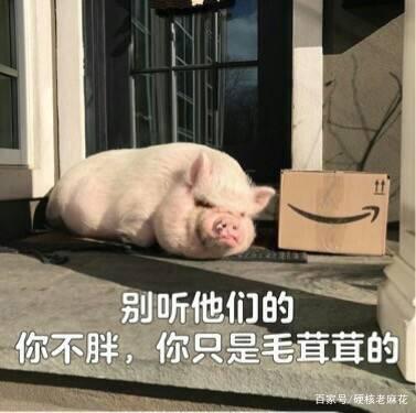 人胖怎么起外号好听