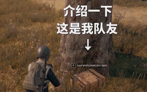 和平精英最适合女生的灵敏度