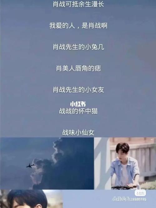 关于肖战好听的网名女生仙气两个字