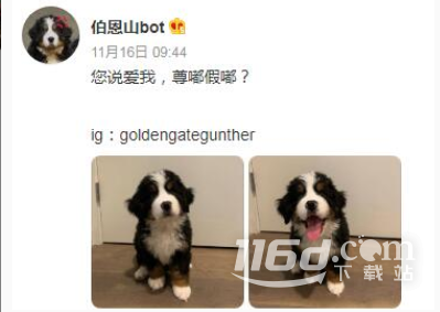 尊嘟假嘟梗的意思