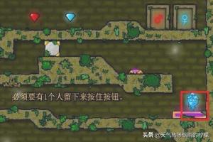 森林冰火人中文版游戏1关攻略