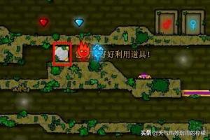 森林冰火人中文版游戏1关攻略