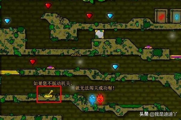 森林冰火人中文版游戏1关攻略
