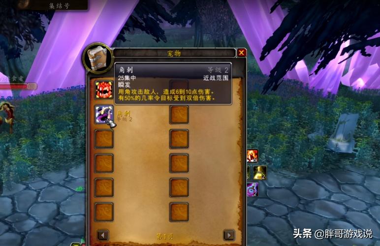 魔兽世界怀旧服猎人怎样练低级BB