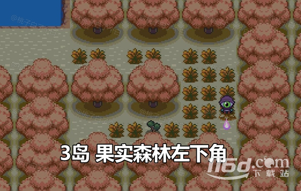 Pokemmo2023万圣节关都区域全鬼火分布位置详情