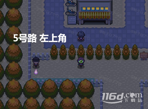 Pokemmo2023万圣节关都区域全鬼火分布位置详情