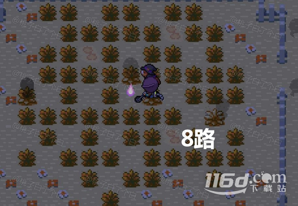 Pokemmo2023万圣节关都区域全鬼火分布位置详情