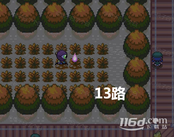 Pokemmo2023万圣节关都区域全鬼火分布位置详情