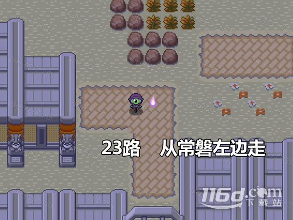 Pokemmo2023万圣节关都区域全鬼火分布位置详情