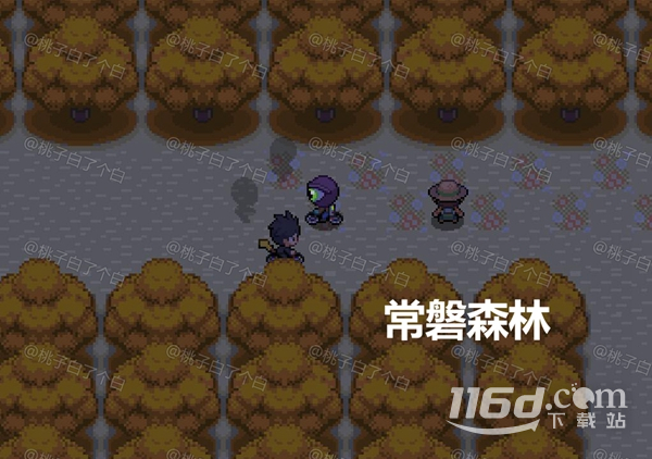 Pokemmo2023万圣节关都区域全鬼火分布位置详情