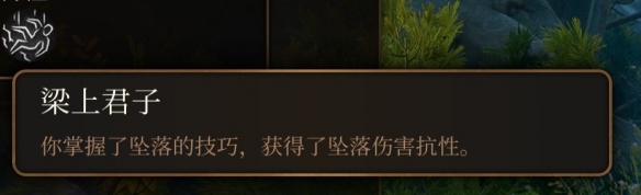 博德之门3游荡者副职业有哪些