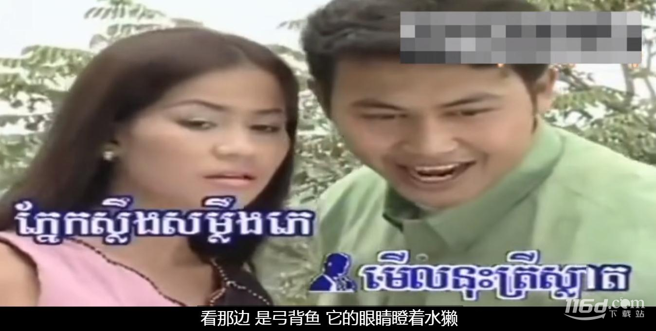 高棉金曲看猫头鹰梗含义