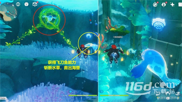 原神喂养呜呜葡萄任务流程