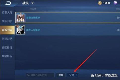 区级战队称号怎么显示局内的
