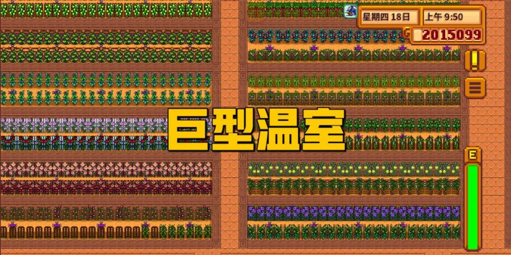星露谷物语夏天杨桃种植方法
