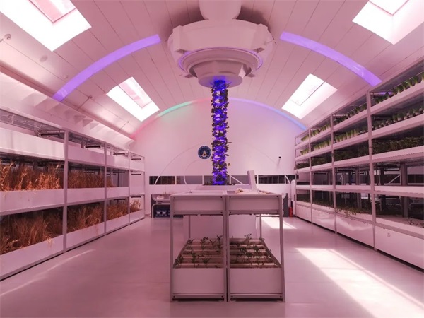 天涯明月刀龙年主题外观设计大赛正式开启！全新联动&宇宙知识科普点我即看！