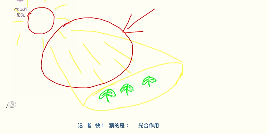 你画我猜题目和答案有什么