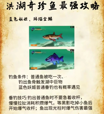 欢乐钓鱼大师洪湖珍贵鱼攻略