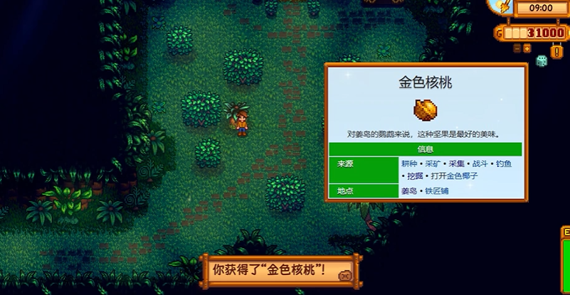 星露谷物语怎么找金核桃