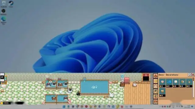 《动物温泉》Steam页面曝光！2025年，与萌宠共浴的休闲时光即将开启！