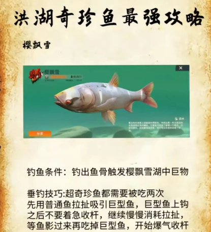 欢乐钓鱼大师洪湖珍贵鱼攻略