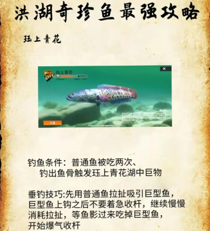 欢乐钓鱼大师洪湖珍贵鱼攻略